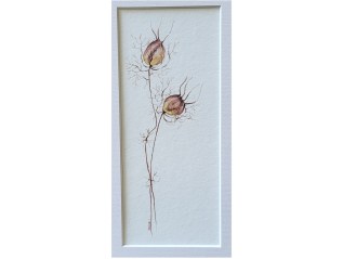 Juffertje in het&nbsp;groen