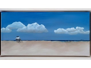 Reddingshuisje op de&nbsp;Vliehors