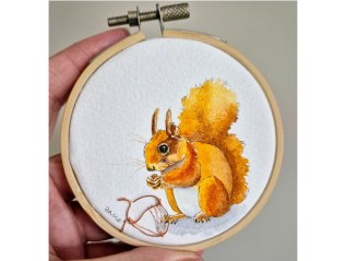 eekhoorntjes (klik hier voor&nbsp;meer)