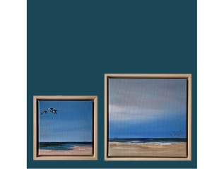 Scholeksters   & Stilte